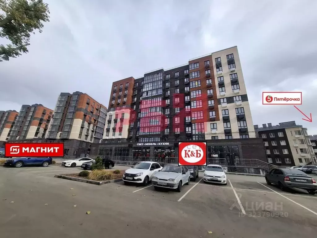 Торговая площадь в Ростовская область, Аксай просп. Ленина, 40А (61 м) - Фото 1