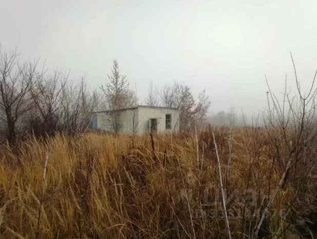 Помещение свободного назначения в Саратовская область, Петровск ул. ... - Фото 2