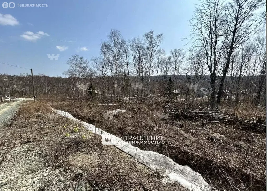 Участок в Южно-Сахалинск, СНТ Изыскатель, улица Алексея Колюбакина ... - Фото 0