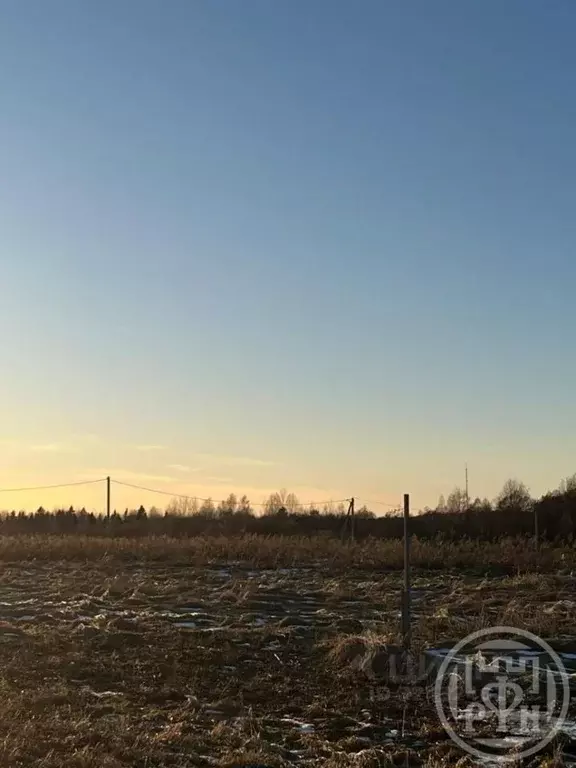 Участок в Ленинградская область, Лужский район, Заклинское с/пос, д. ... - Фото 2