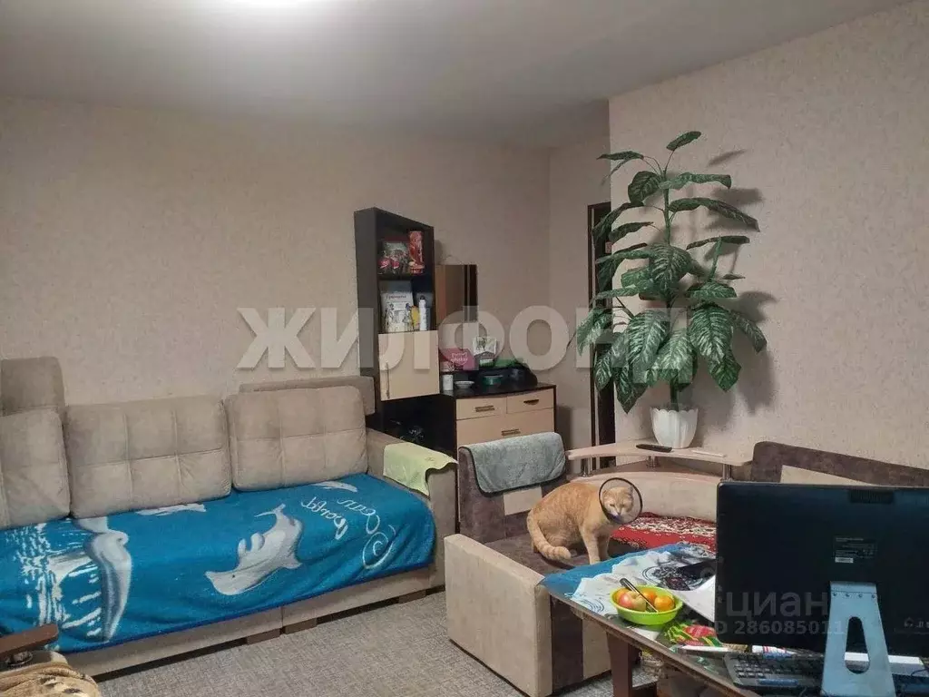 Комната Новосибирская область, Новосибирск ул. Забалуева, 54 (19.9 м) - Фото 1
