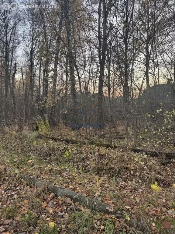 Участок в деревня Бачурино, Тюляевский проезд (8.3 м) - Фото 2