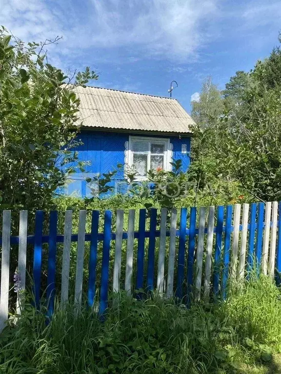Участок в Новосибирская область, Новосибирский район, Барышевский ... - Фото 0