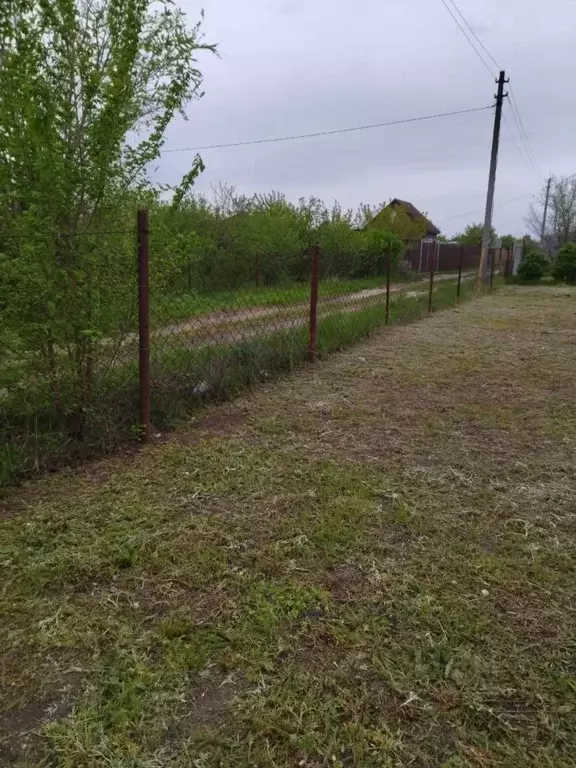 Дом в Саратовская область, с. Клещевка ул. Новая (12 м) - Фото 0