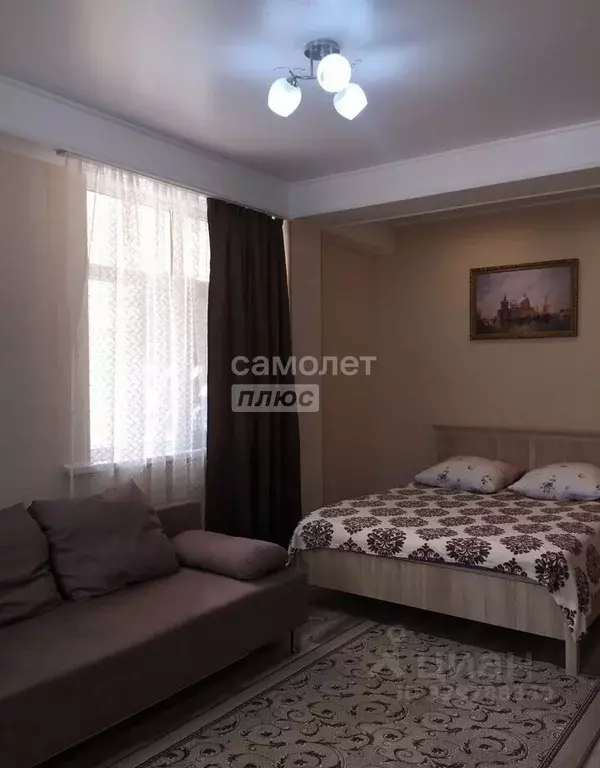 Студия Краснодарский край, Сочи Виноградная ул., 116А (28.2 м) - Фото 1