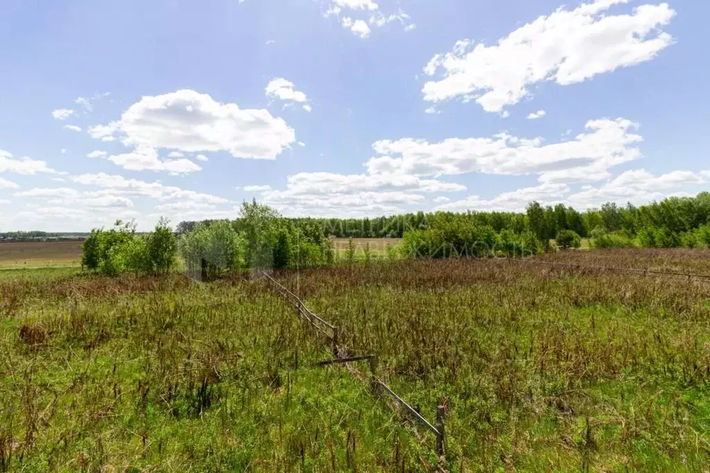 Участок в Тюменская область, Тюменский район, с. Каменка  (12.82 сот.) - Фото 0