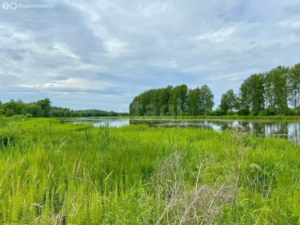 Участок в Кострома, СТ Рассвет (5 м) - Фото 0