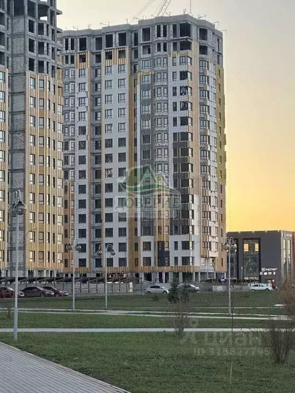 1-к кв. Тамбовская область, Тамбов Пахотная ул., 20 (36.33 м) - Фото 1