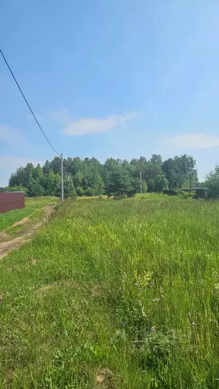 Участок в Московская область, Богородский городской округ, д. Дядькино ... - Фото 1