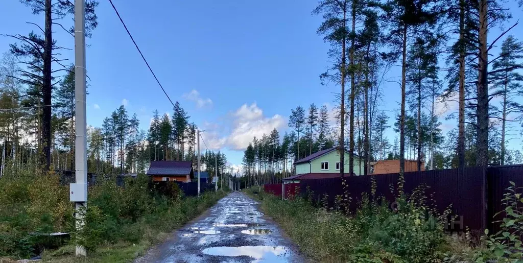 Участок в Ленинградская область, Всеволожский район, Куйвозовское ... - Фото 1