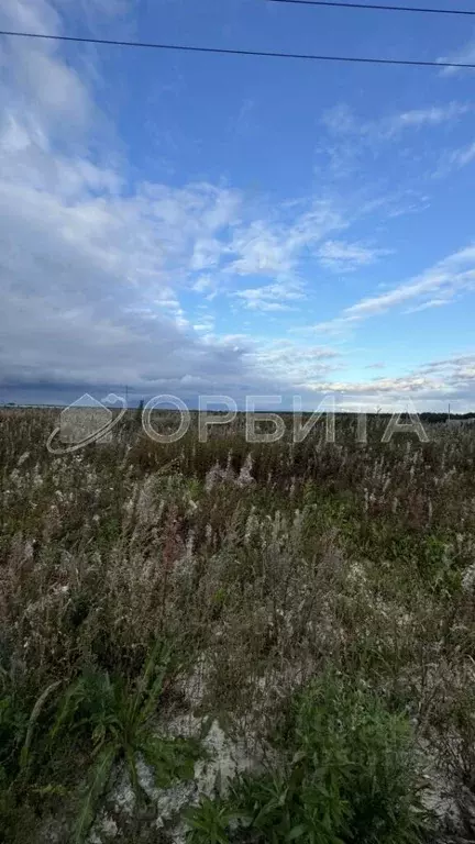 Участок в Тюменская область, Тюменский муниципальный округ, д. ... - Фото 2