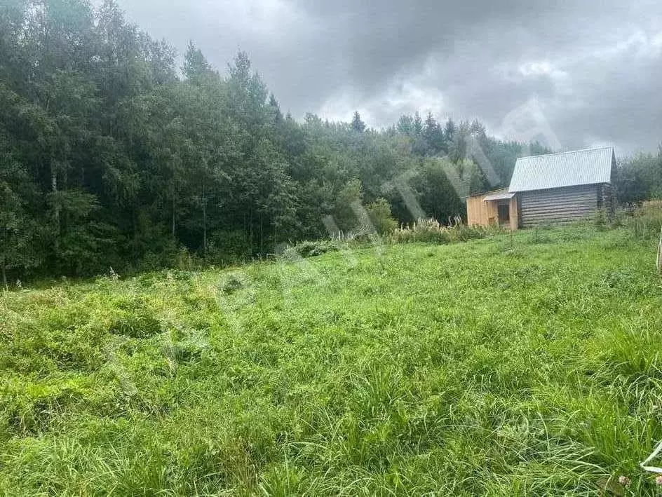 Купить Участок В Майском Вологодский Район