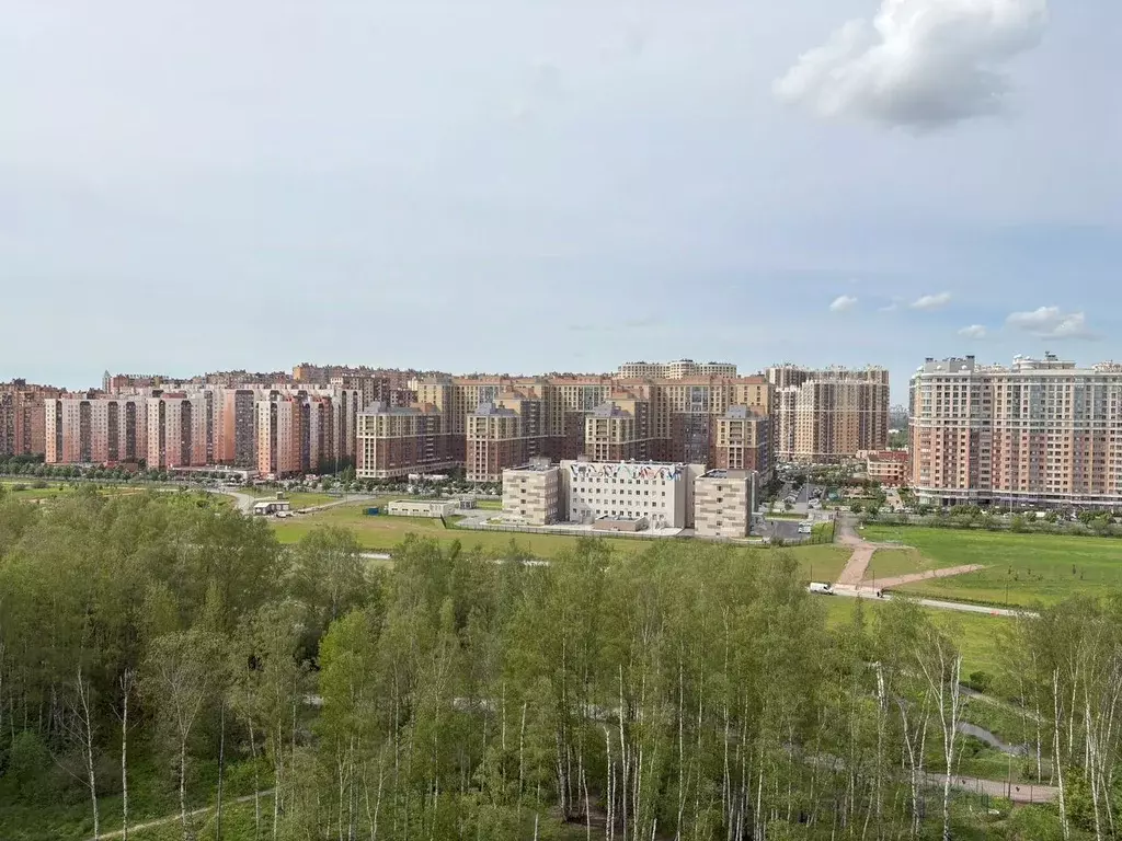 2-к кв. Ленинградская область, Кудрово г. Всеволожский район, ... - Фото 2