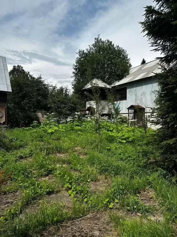 Дом в Московская область, Рузский муниципальный округ, Динамо СНТ  (80 ... - Фото 2