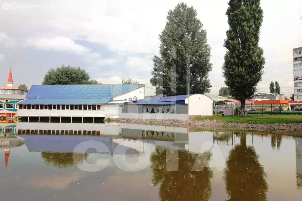 Помещение свободного назначения (3.48 м) - Фото 2