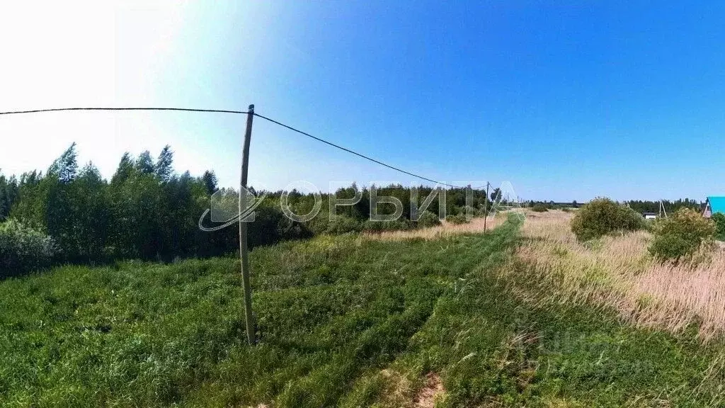 Участок в Тюменская область, Тюмень Большое Царево-2 СНТ, ул. Чистая ... - Фото 1