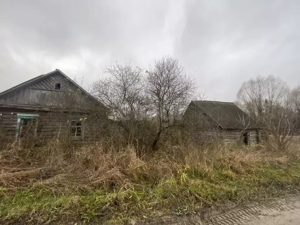Дом в Брянская область, Навлинский район, Бяковское с/пос, д. ... - Фото 1