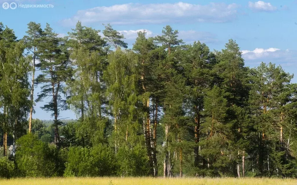 Участок в Московская область, городской округ Ступино, КП Живописный ... - Фото 1