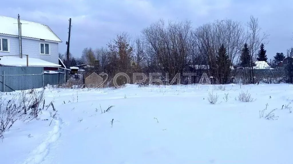 Участок в Тюменская область, Тюмень Золотая Осень-2 садовое ... - Фото 2