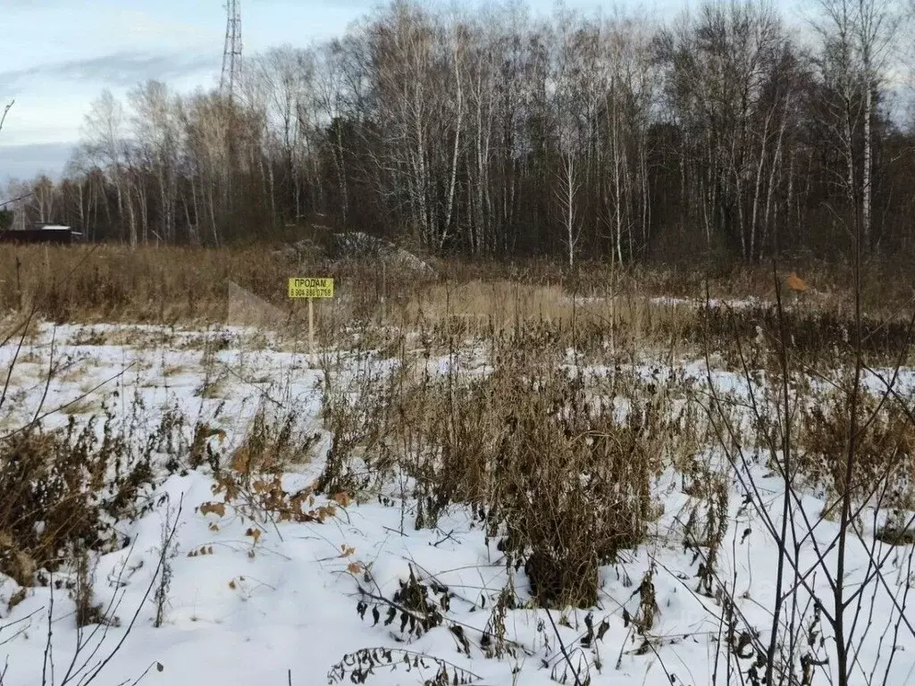 Участок в Тюменская область, Тюменский район, пос. Новотарманский ... - Фото 1