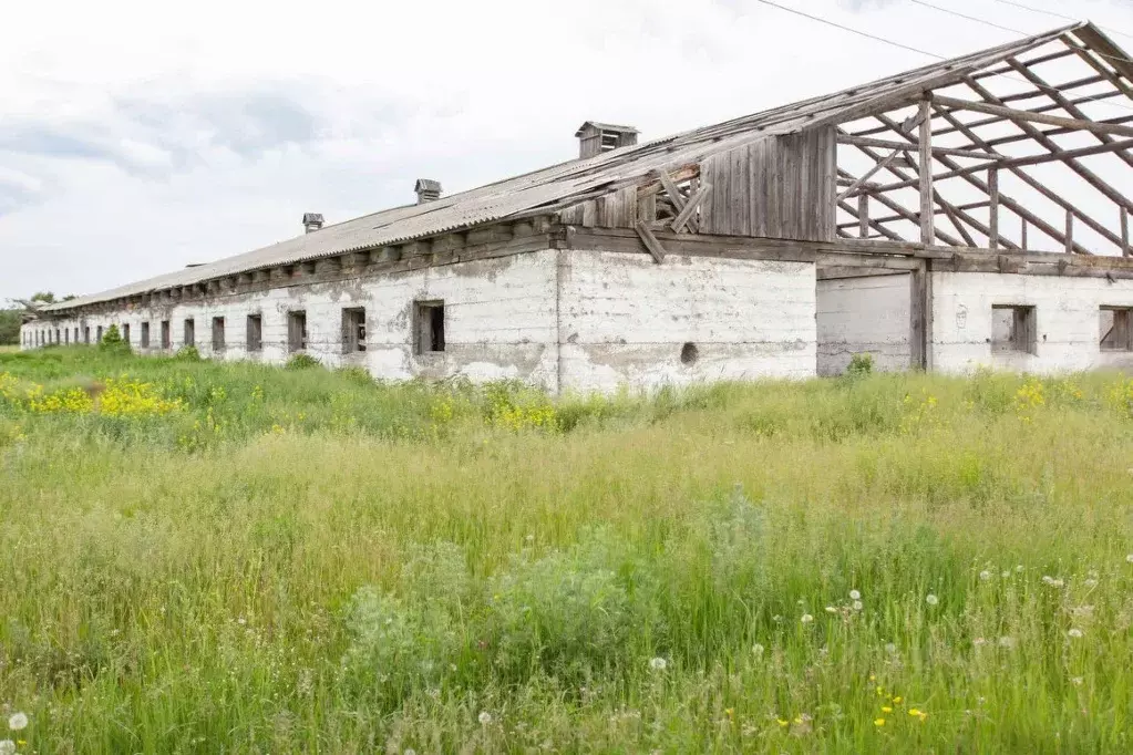 Помещение свободного назначения в Тюменская область, Тобольский ... - Фото 1