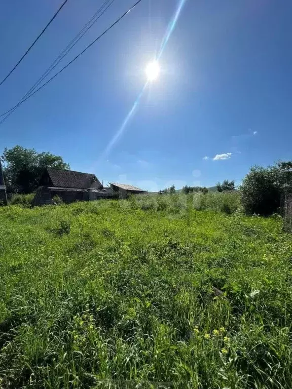 Участок в Алтай, Майминский район, с. Подгорное Набережная ул. (16.0 ... - Фото 1