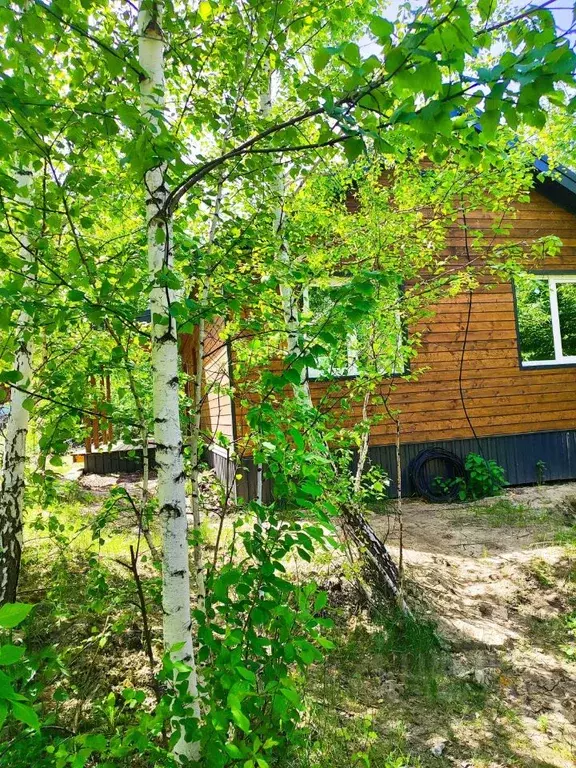 Дом в Челябинская область, Копейск Курочкино-2 СНТ, 76 (65 м) - Фото 0