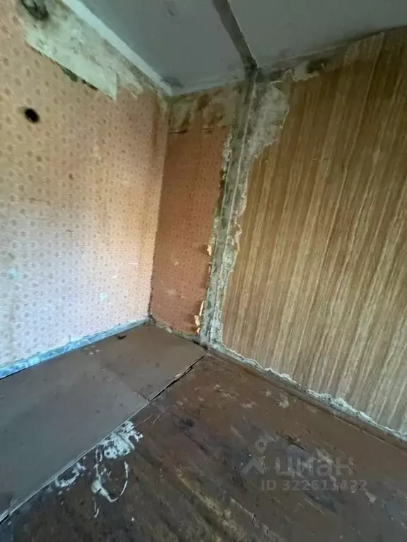 1-к кв. Московская область, Пушкино Мамонтовка мкр, ул. Мира, 10 (33.0 ... - Фото 2