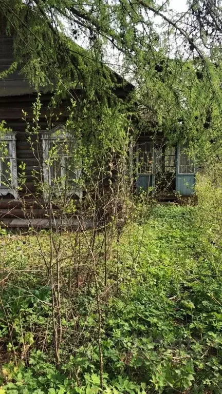 Участок в Московская область, Одинцовский городской округ, д. Малые ... - Фото 2