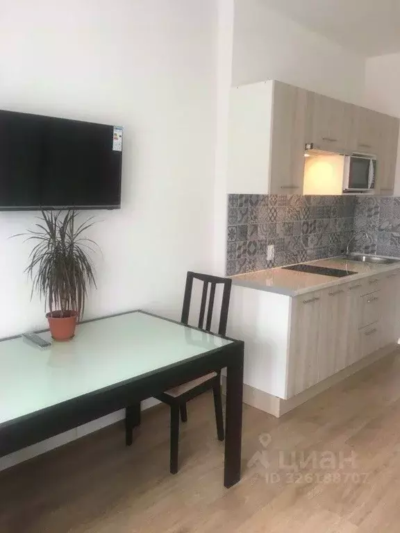 Студия Санкт-Петербург Кондратьевский просп., 68к4 (25.0 м) - Фото 2