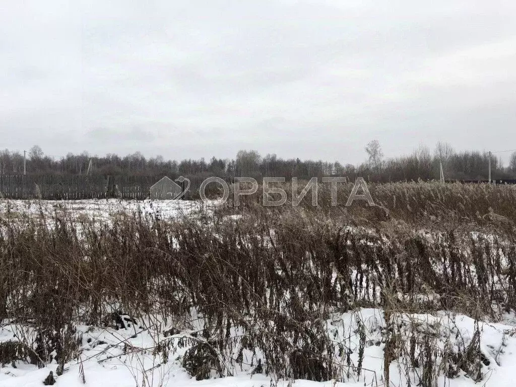 Участок в Тюменская область, Тюменский муниципальный округ, с. Ембаево ... - Фото 0