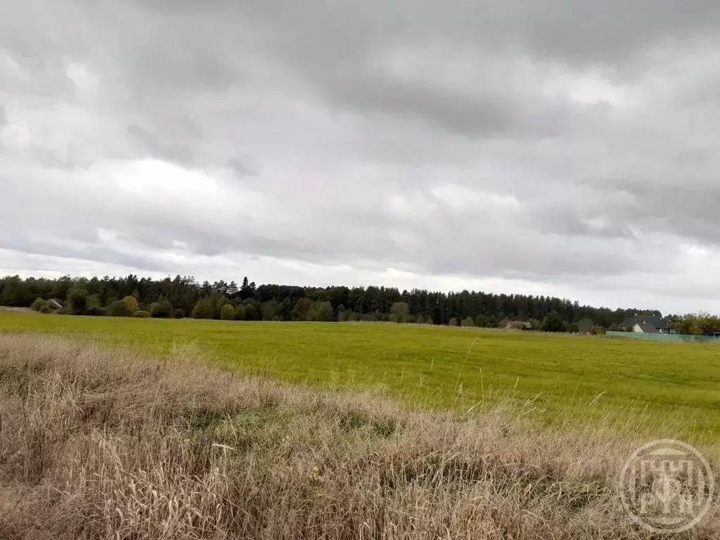 Участок в Ленинградская область, Выборгский район, Красносельское ... - Фото 1