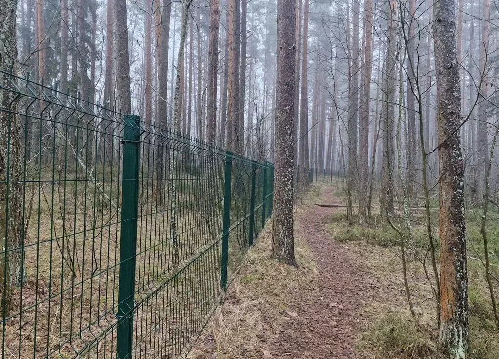 Участок в Санкт-Петербург пос. Солнечное,  (56.0 сот.) - Фото 1