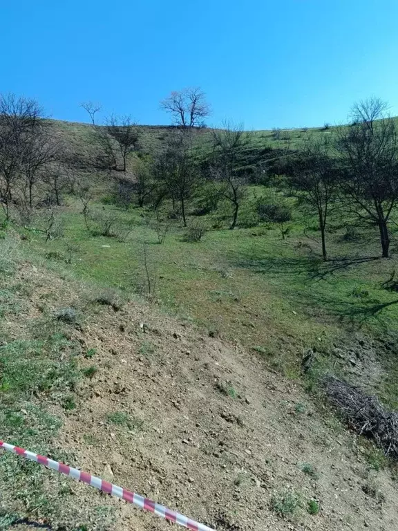 Участок в Крым, Алушта муниципальный округ, с. Приветное ул. ... - Фото 2
