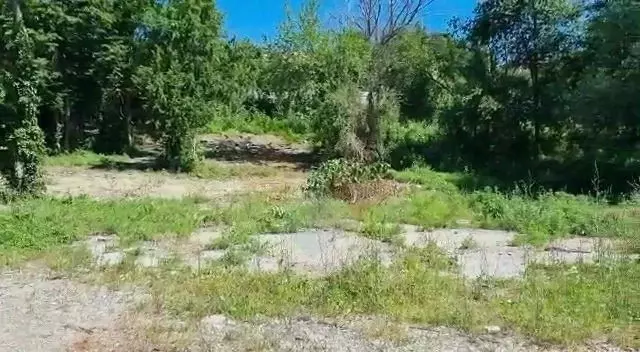 Участок в Краснодарский край, Туапсинский муниципальный округ, с. ... - Фото 0