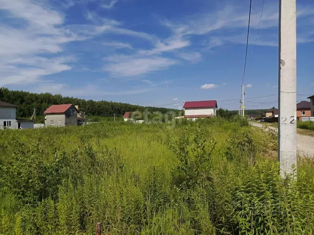 Участок в Нижегородская область, Богородский муниципальный округ, д. ... - Фото 1