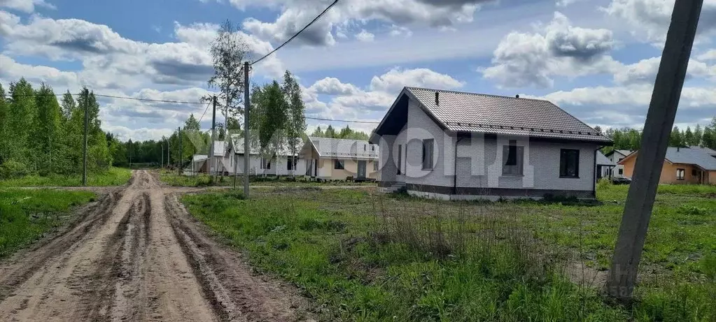 Участок в Новосибирская область, Новосибирский район, Станционный ... - Фото 2