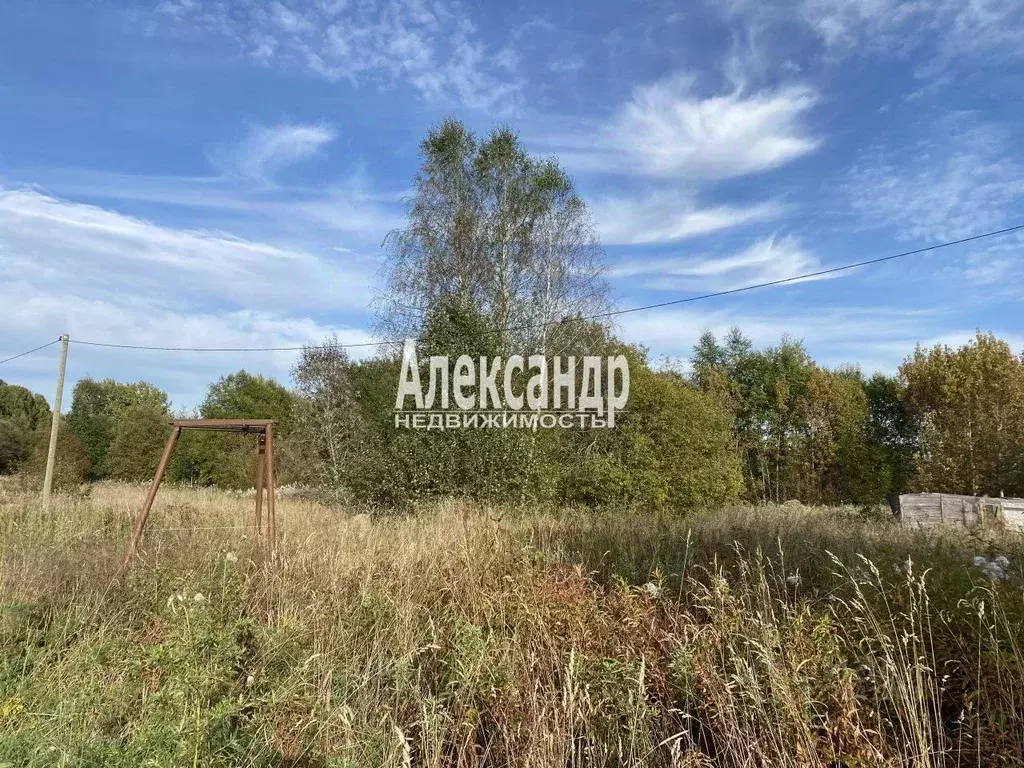 Участок в Ленинградская область, Приозерский район, Красноозерное ... - Фото 1