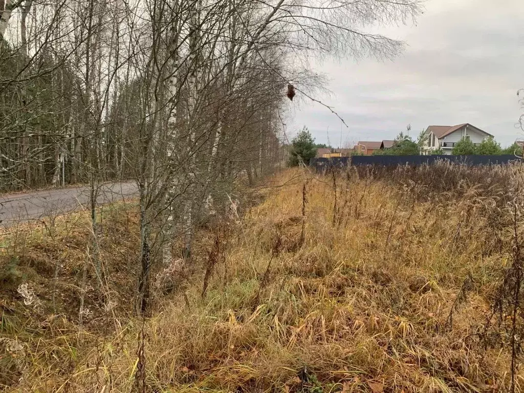 Участок в Тверская область, Калининский муниципальный округ, д. Савино ... - Фото 2
