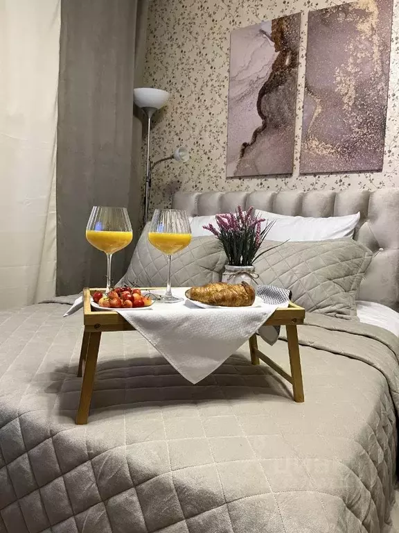 Студия Московская область, Ногинск Богородский городской округ, ул. ... - Фото 2