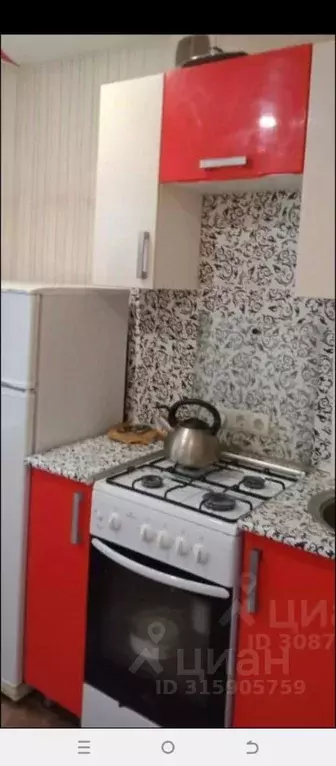 1-к кв. Волгоградская область, Волгоград ул. Кирова, 132А (31.0 м) - Фото 2