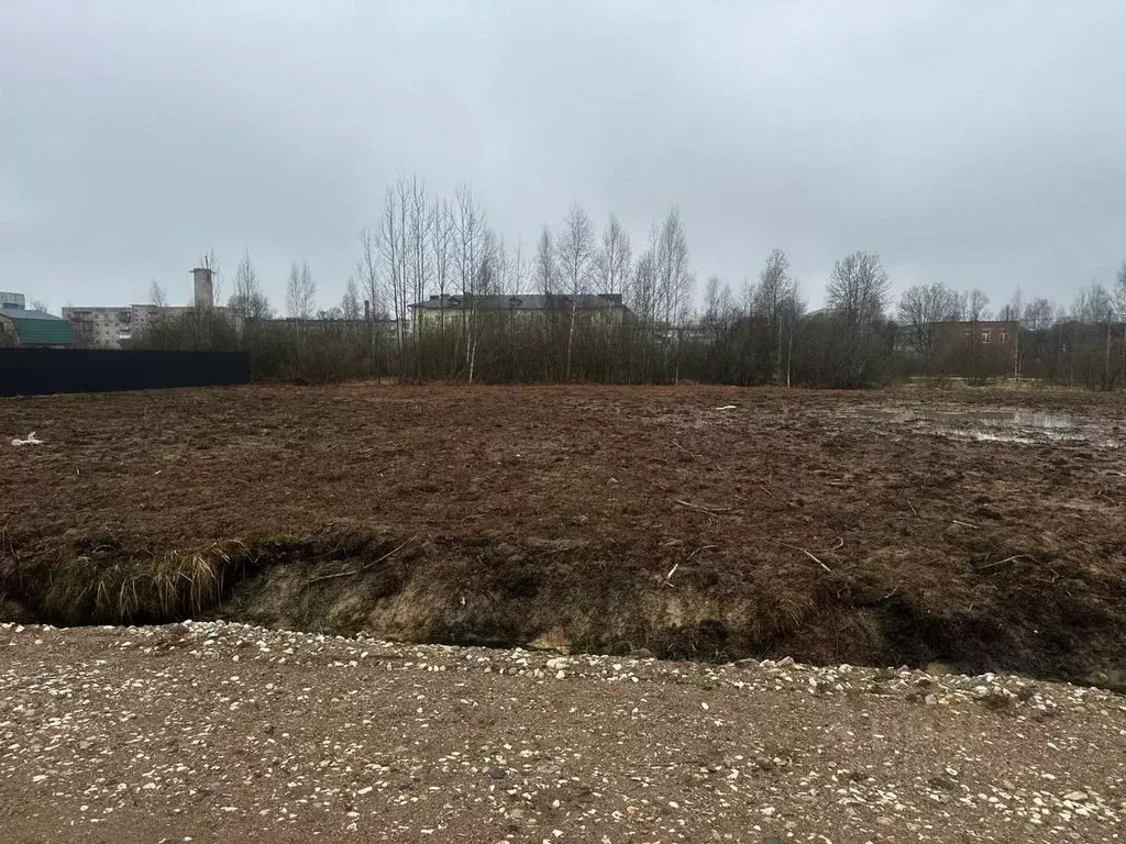 Участок в Новгородская область, Малая Вишера ул. Березовая Аллея (12.0 ... - Фото 0