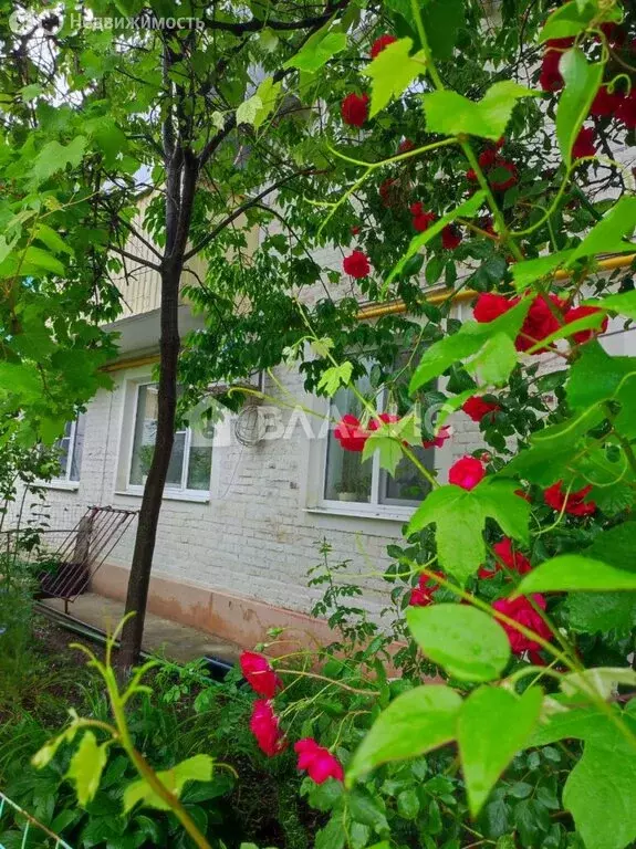 3-комнатная квартира: Анапа, улица Толстого, 62 (57.3 м) - Фото 1