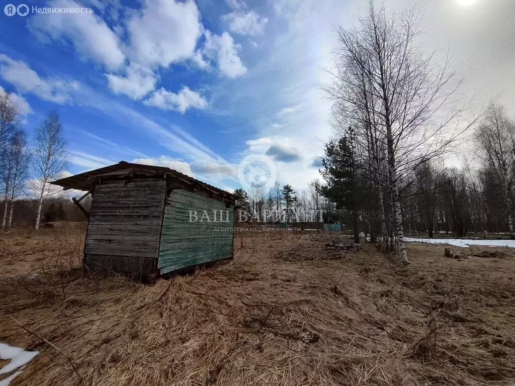 Участок в Ярославская область, Рыбинский муниципальный округ, СПК ... - Фото 1