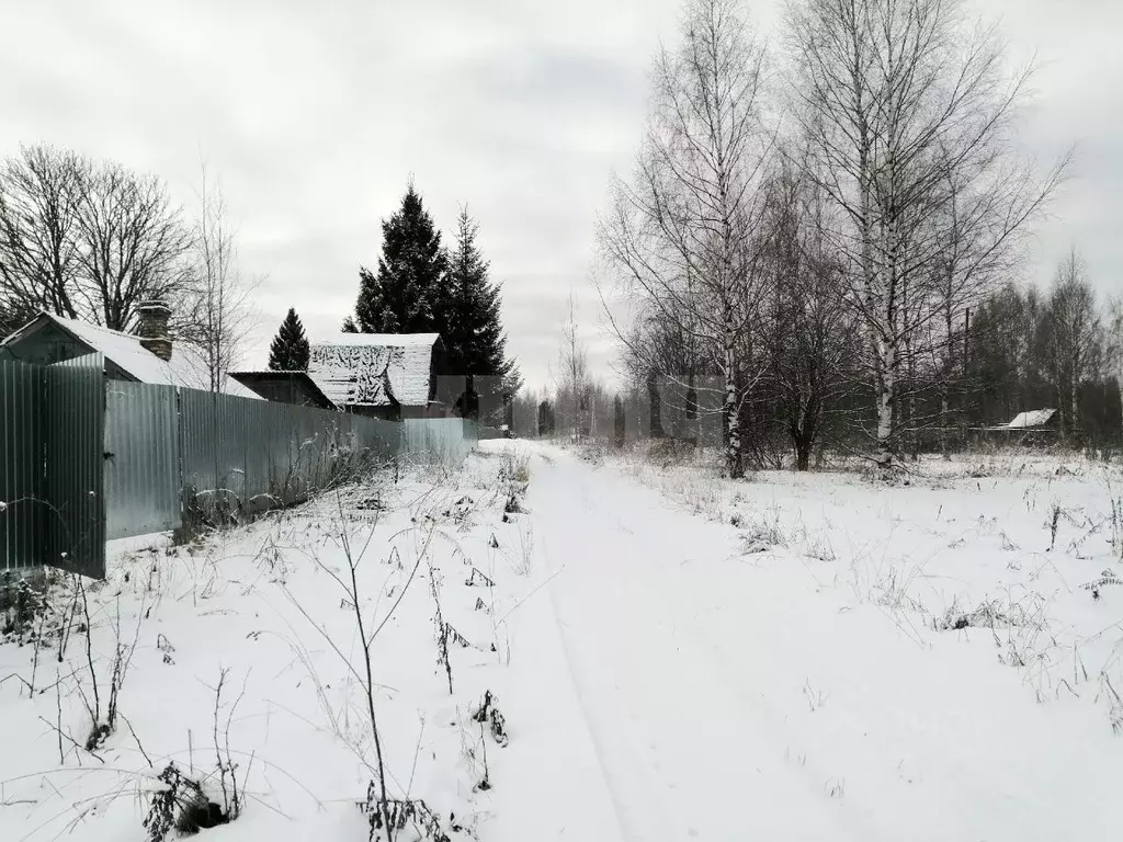 Участок в Вологодская область, Сокольский муниципальный округ, д. ... - Фото 2