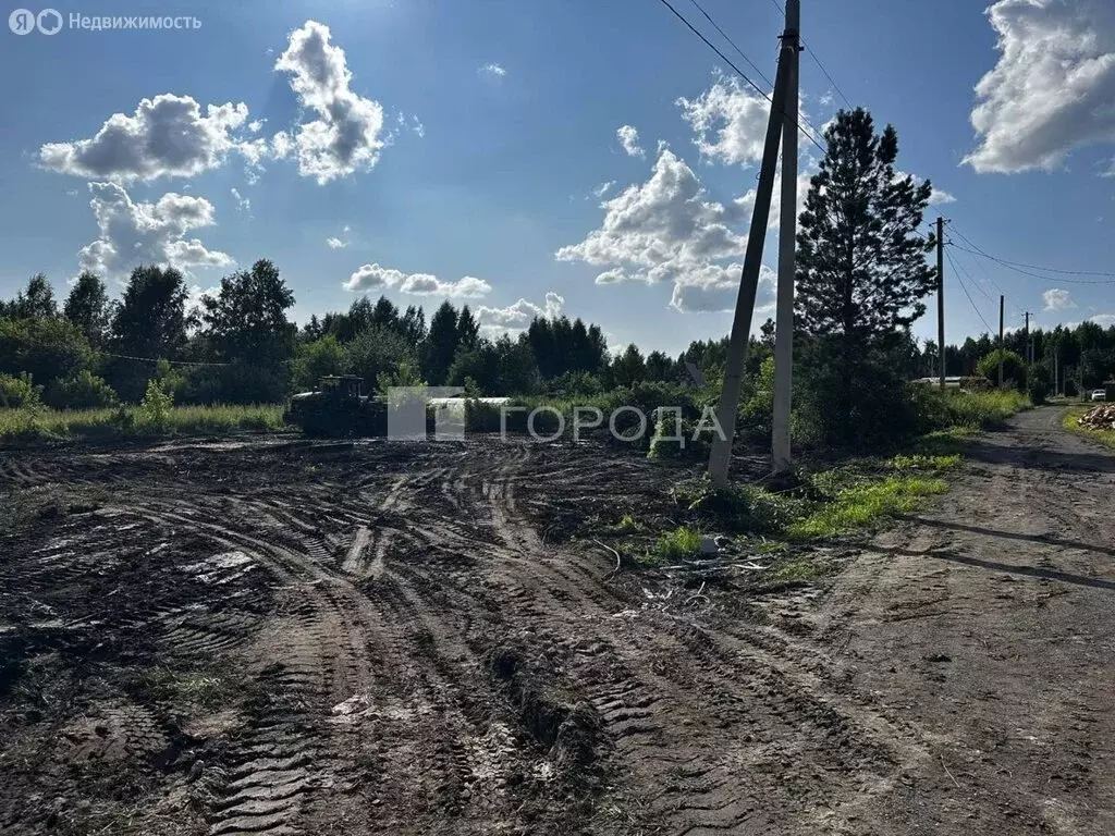 Участок в Станционный сельсовет, СНТ Костяево (12 м) - Фото 2