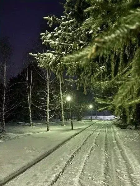 Комната Свердловская область, Сухой Лог муниципальный округ, с. ... - Фото 2
