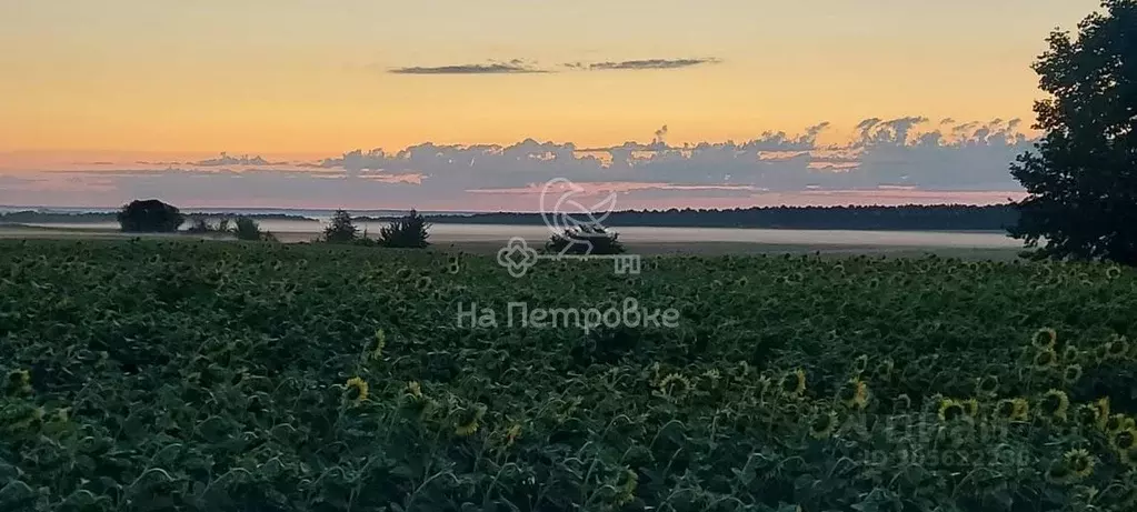 Участок в Тульская область, Ясногорский район, Иваньковское ... - Фото 0