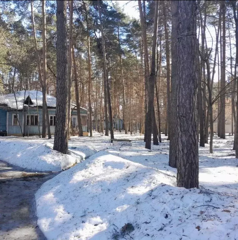 Участок в Московская область, Люберцы городской округ, Малаховка пгт ... - Фото 2
