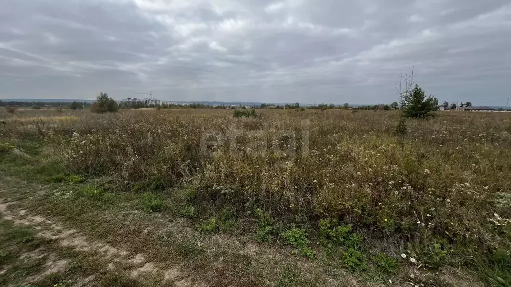 Участок в Белгородская область, Белгород ул. Виктора Лосева (15.93 ... - Фото 1